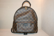 Louis Vuitton PALM SPRINGS Back pack 