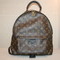 Louis Vuitton PALM SPRINGS Back pack 