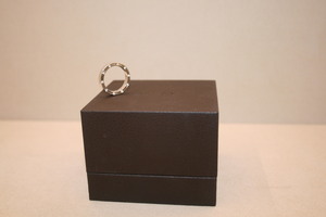 DAMIANI D side ring 20P
