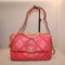 Chanel  19 Bag  ~~~